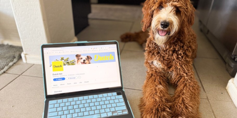 Get Unlimited Vet Support for Around $7.50/Month with Our Exclusive Code