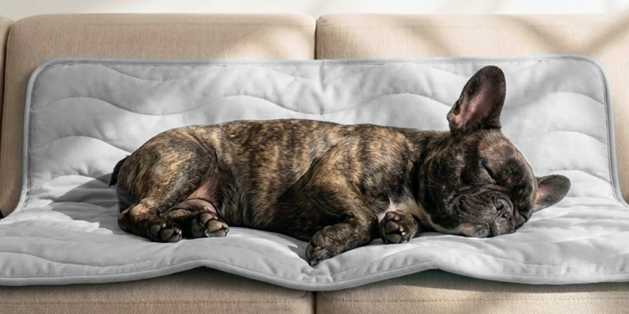 Dog Cooling Blanket Just $12 on Amazon (Reg. $25)