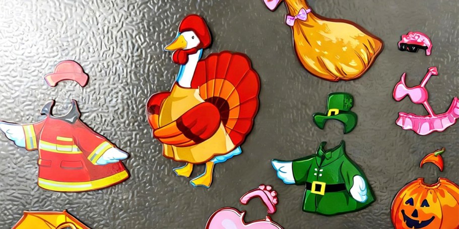 Goose Magnets Only $4.99 on Amazon (Reg. $10) | FUN Gift Idea for Mom