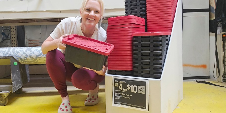 FOUR Home Depot Mini Storage Totes Just $10 ($2.50 Each!)