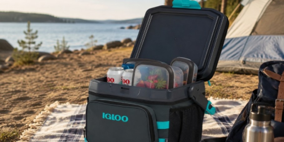 Igloo 18-Can Hybrid Cooler Just $22.99 on Amazon (Reg. $50)