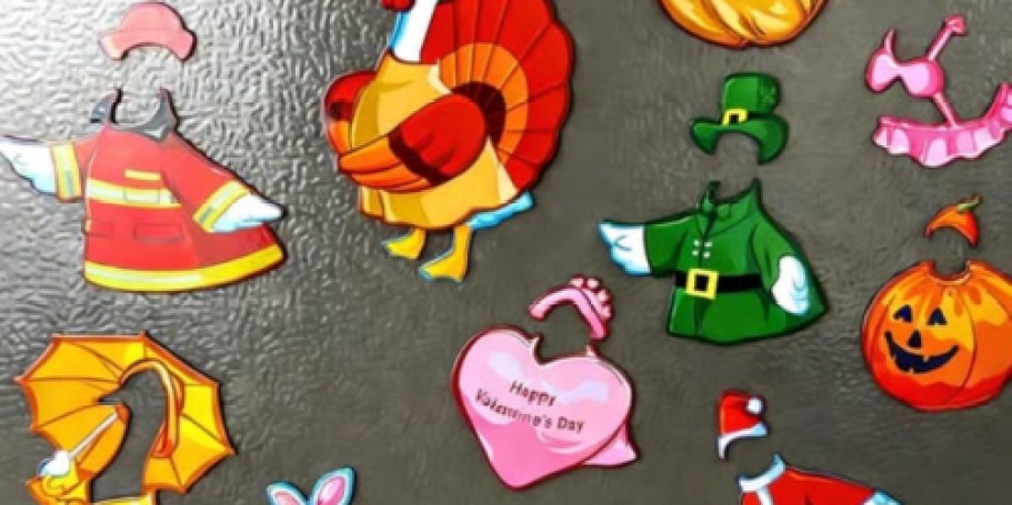 Goose Fridge Magnet Set Only $6.98 on Amazon