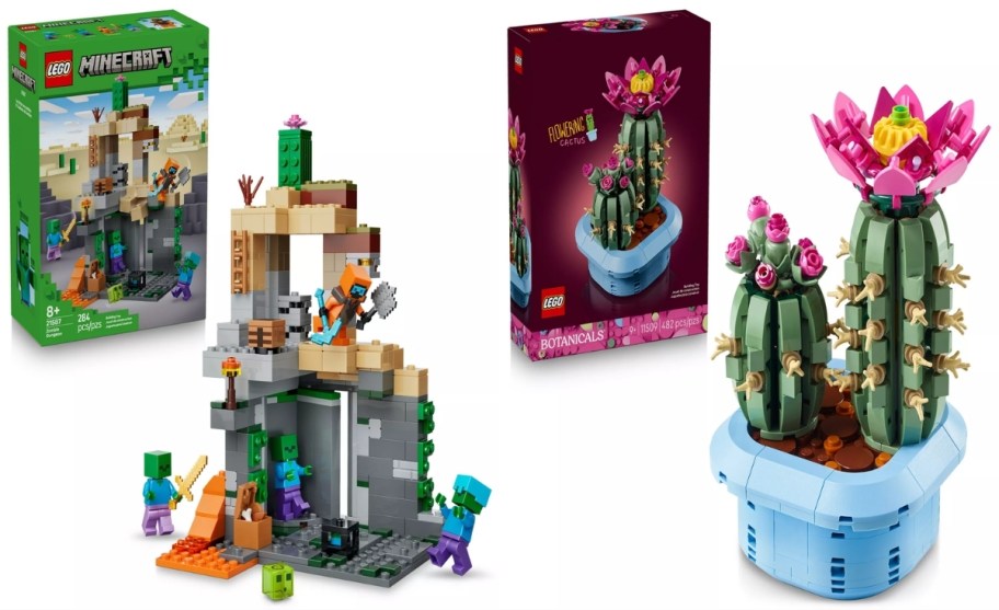 lego minecraft and flowering cactus building sets