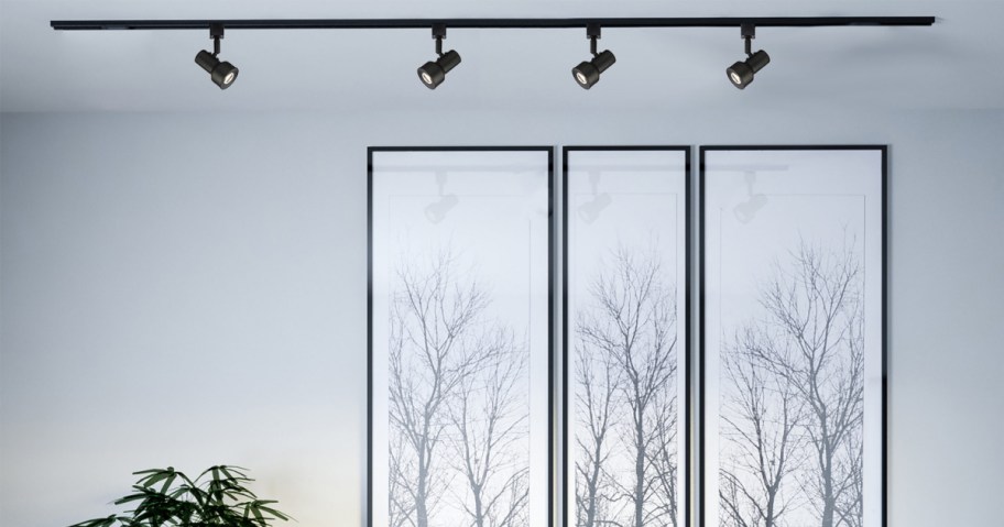 Ceiling-mounted track lights illuminate three framed artworks of bare tree branches on a white wall, next to a lush green plant.