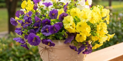 Score 50% Off Artificial Flowers on Amazon (Easy Spring Color That Lasts!)