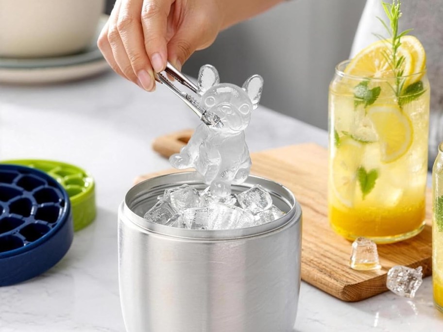 using ice tongs to lift a dog-shaped ice cube