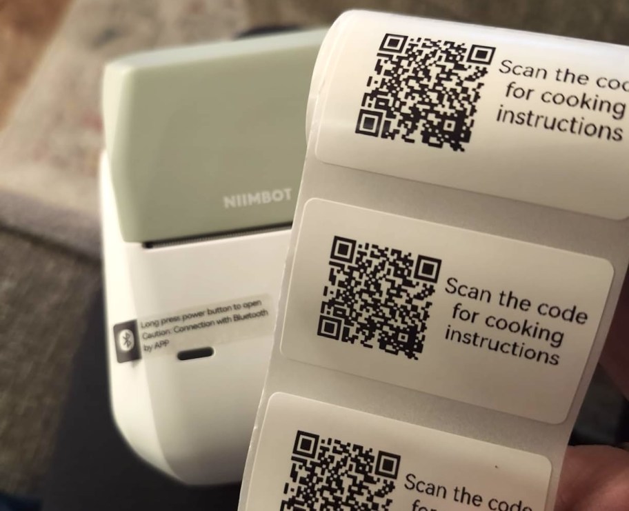 NIIMBOT B1 Label Maker
