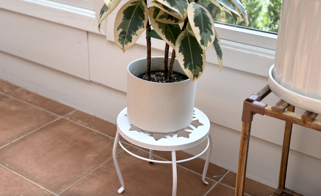 Elevate Your Space w/ Walmart Plant Stands from Under $8 (Collin Bought 3!)