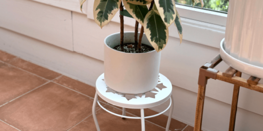 Collin’s Fave Plant Stand Dropped in Price – Under $7 on Walmart.com