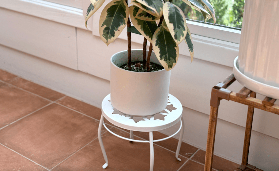 Collin&rsquo;s Fave Plant Stand Dropped in Price &ndash; Under $7 on Walmart.com