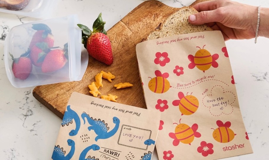 We Love Stasher Silicone Bags… But Their NEW Paper Bags Are a Surprisingly Eco-Friendly Win