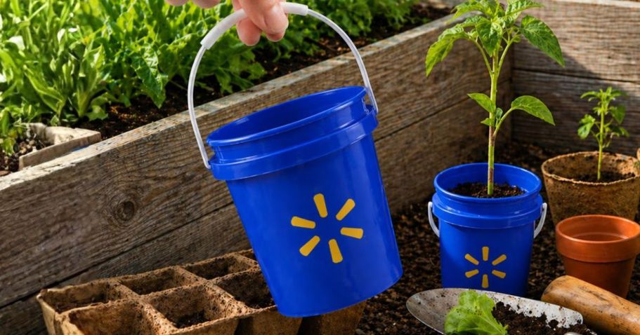 Walmart Just Dropped Mini Buckets (+ They&rsquo;re Under $1!)