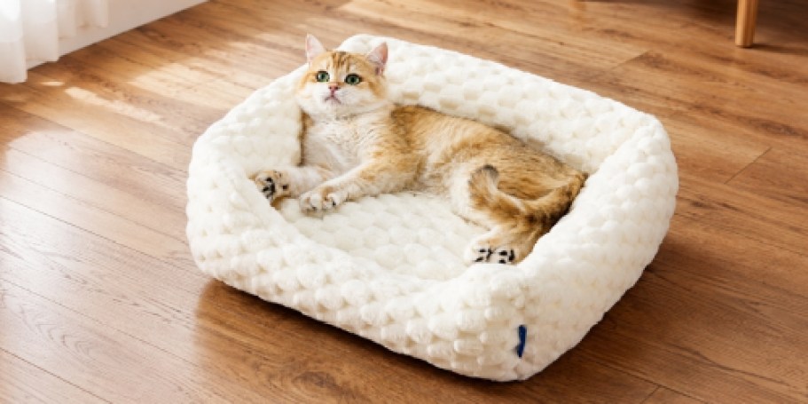 Score 50% Off Soft & Washable Pet Beds on Amazon