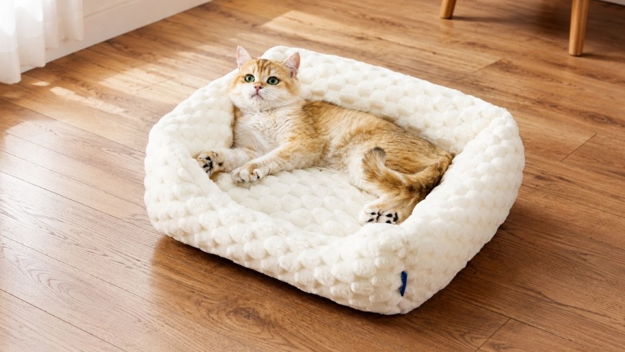 Score 50% Off Soft & Washable Pet Beds on Amazon