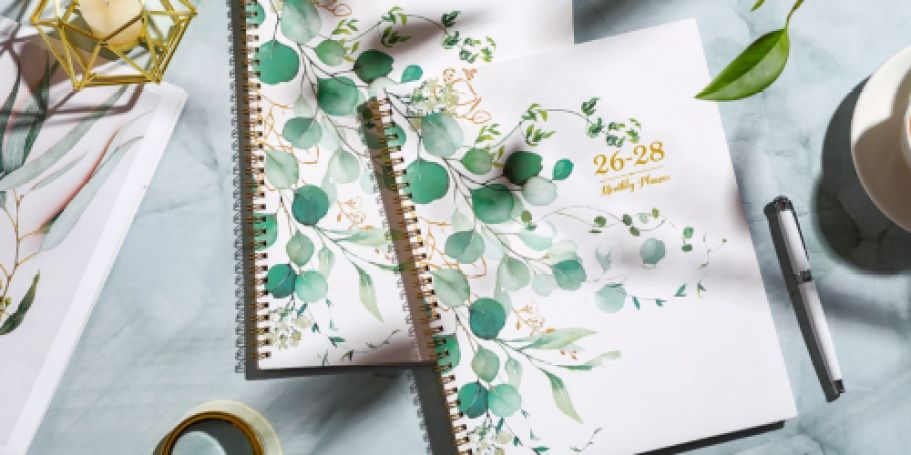 Grab a Monthly Planners from Just $3.79 on Amazon