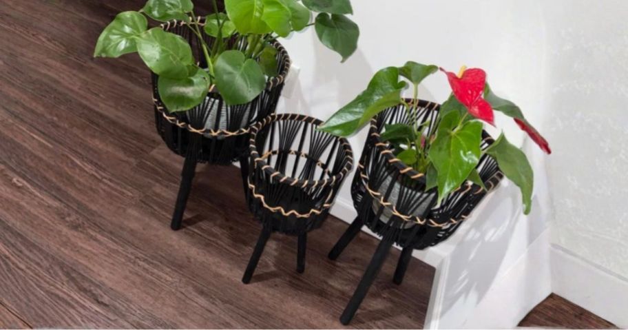 Bayou Breeze Neutral Boho Wicker Planter Stand Set in corner of room