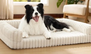Memory Foam Dog Bed Just $25.90 Shipped on Amazon (Reg. $58)