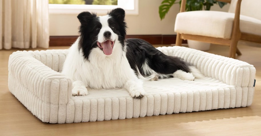 Memory Foam Dog Bed Just $25.90 Shipped on Amazon (Reg. $58)
