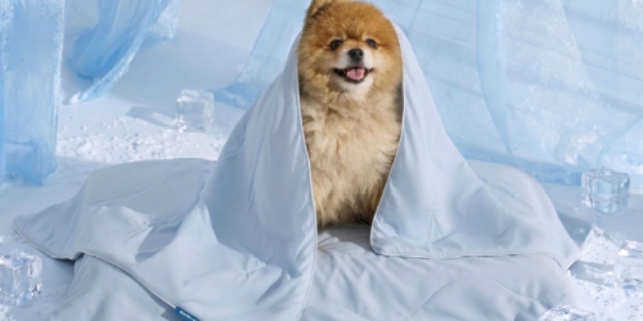 Dog Cooling Blanket Just $11.99 Shipped for Amazon Prime Members