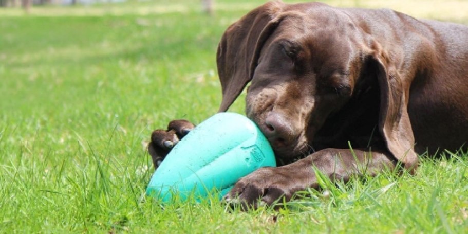 Over $28 Worth of Pet Toys from $5.62 Shipped for Prime Members