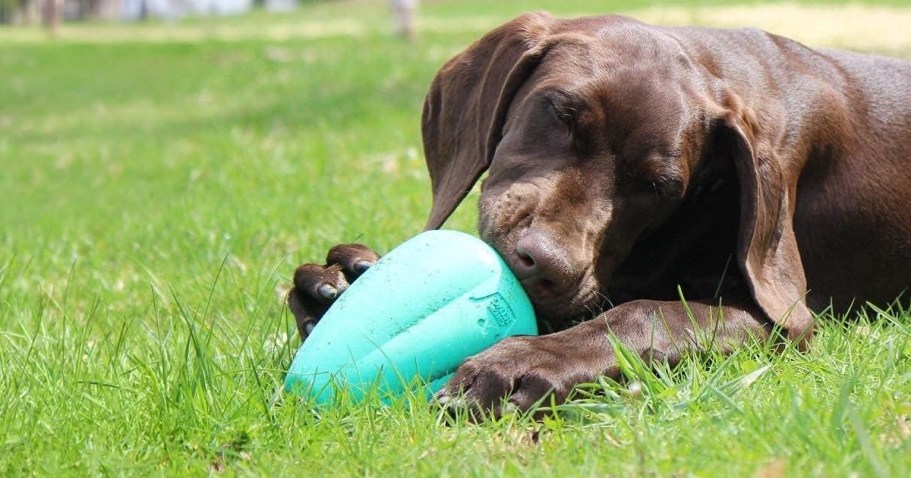 Over $28 Worth of Pet Toys from $5.62 Shipped for Prime Members