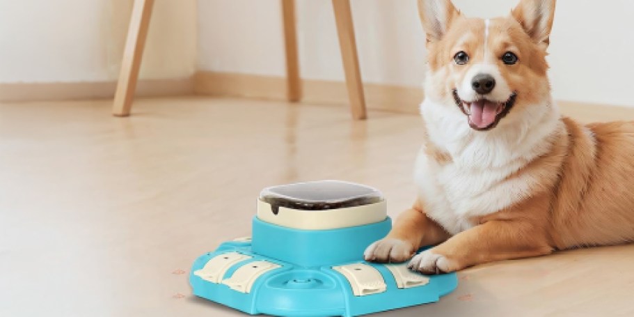 Over $47 Worth of Pet Toys from $11 Shipped for Prime Members