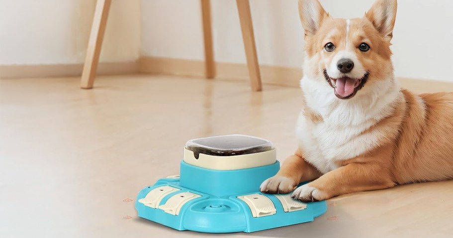 Over $47 Worth of Pet Toys from $11 Shipped for Prime Members
