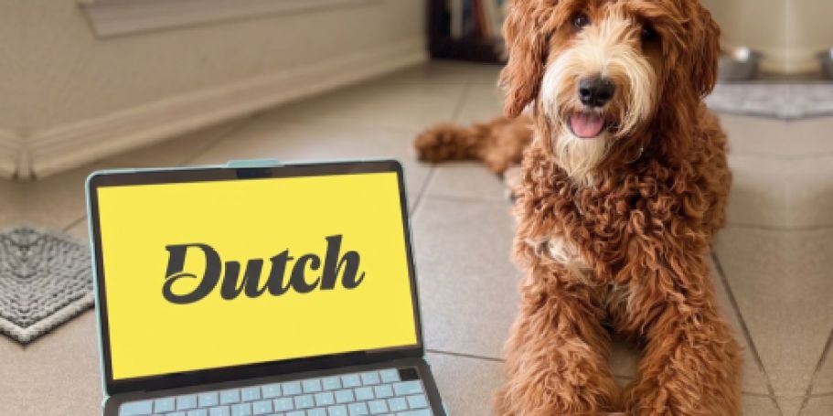 Get Unlimited Vet Support for Around $7.50/Month with Our Exclusive Code