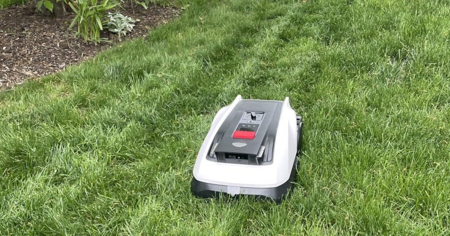 robotic lawn mower cutting grass in yard