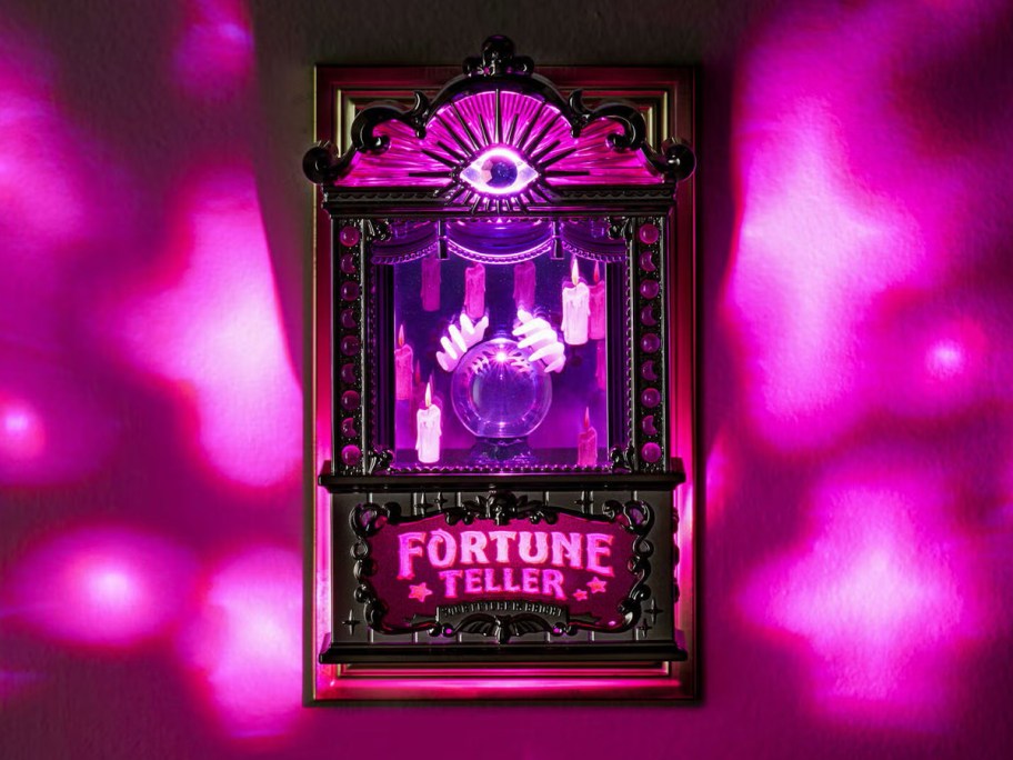 Fortune Teller Projector Nightlight Wallflower Plug