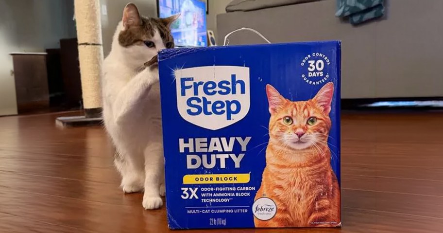 Fresh Step Heavy Duty Litter Box with a Cat