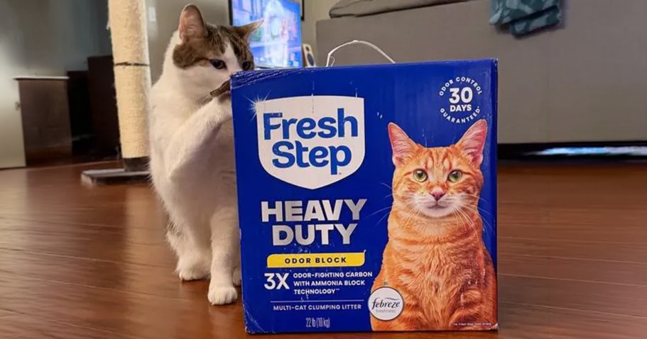 Prime Day Savings for Cat Parents! Fresh Step Litter 2-Packs from $18 Shipped