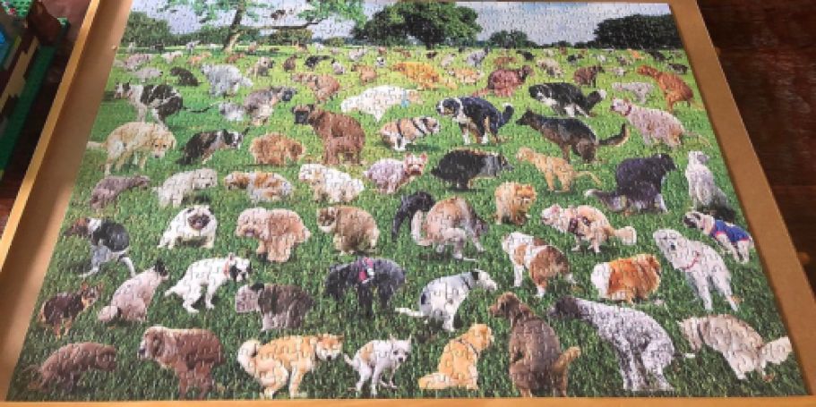 These Funny Jigsaw Puzzles Make the Perfect Father’s Day Gift