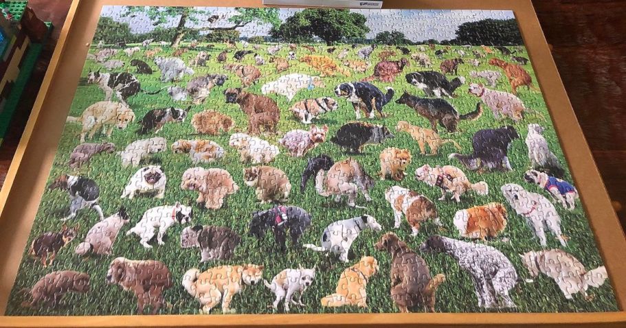 These Funny Jigsaw Puzzles Make the Perfect Father’s Day Gift
