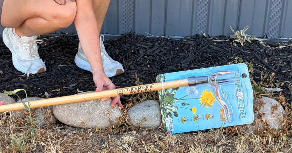 woman kneeling down outside and holding Grampas Weeder