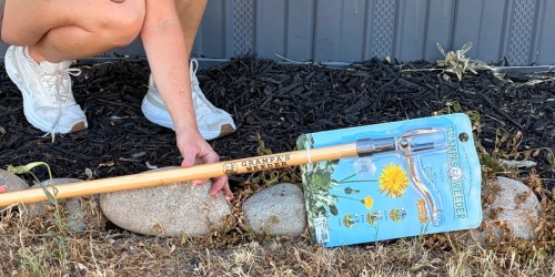 Grampa’s Weeder is a Total Game-Changer for Your Yard (No Bending or Kneeling!)