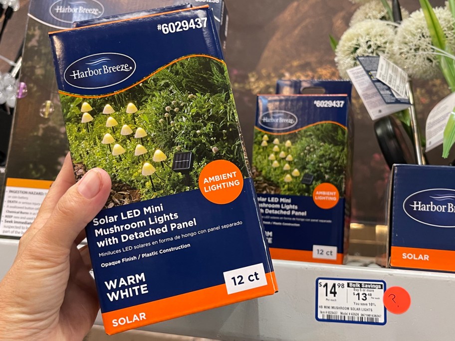 Harbor Breeze Solar LED Mini Mushroom Lights with Detached Panel
