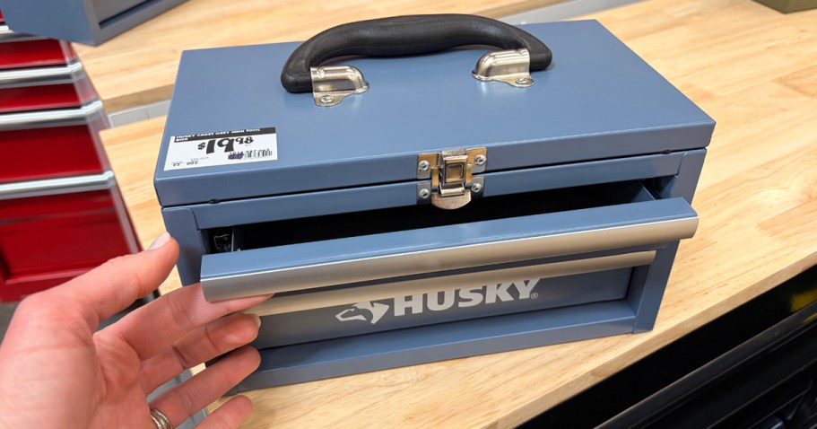 We Found a NEW Mini Toolbox at Home Depot (& It’s Already Selling Out!)