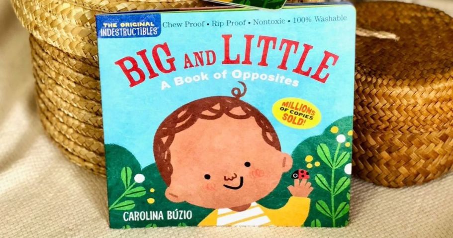 Up to 65% Off Indestructibles Baby Books on Amazon