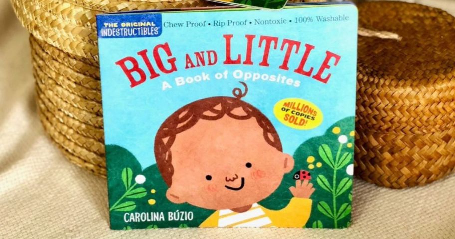 Indestructibles Big & Little: A Book of Opposites in front of baskets
