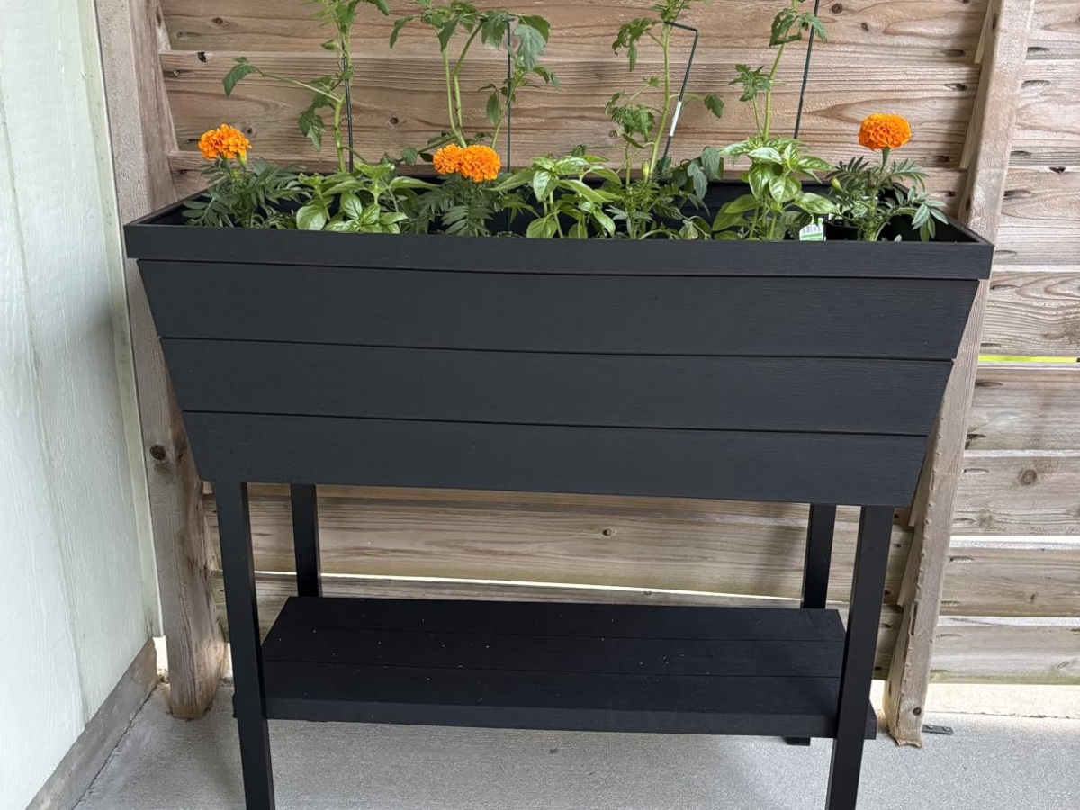 Keter Raised Garden Bed Just $42 Shipped on Amazon (Reg. $100)
