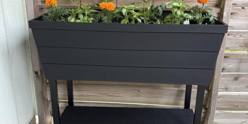 Keter Raised Garden Bed Just $42 Shipped on Amazon (Reg. $100)