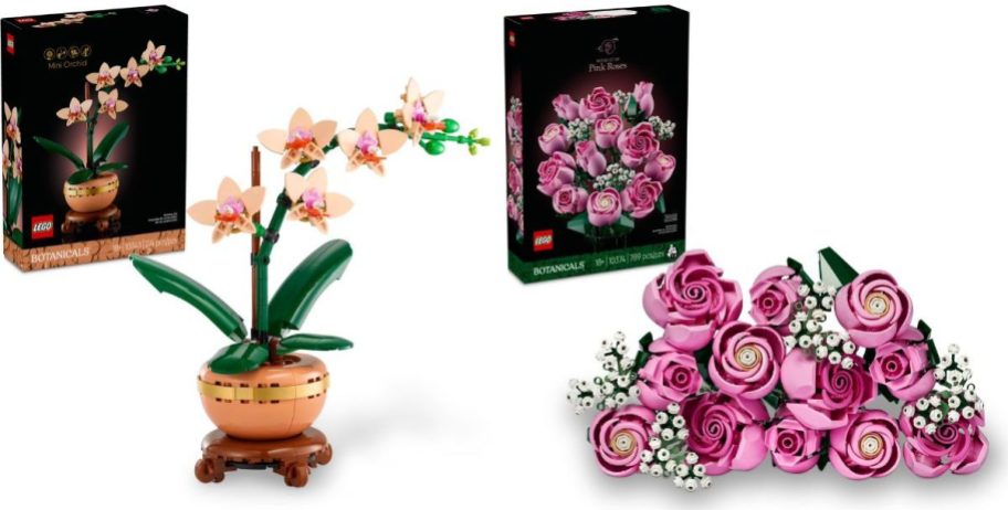 Stock images of two LEGO Botanicals sets