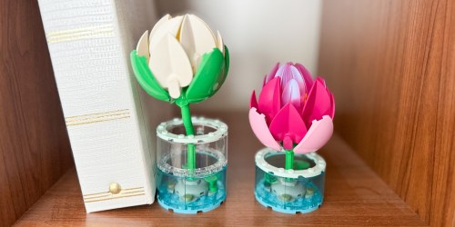 *NEW* LEGO Botanicals Water Lilies Set Available on Walmart.com