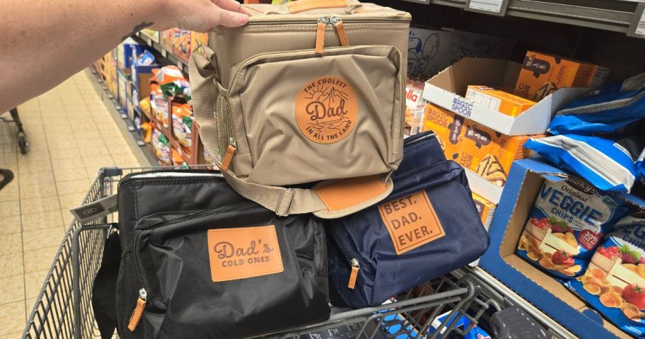 LIVE IN STYLE Small Cooler Bags in store