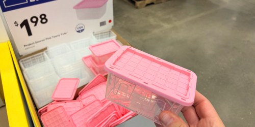 New Pink Teeny Totes Just Dropped at Lowe’s — Only $1.98 Shipped!