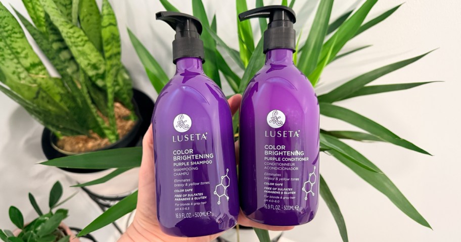 person holding bottle of luseta purple shampoo and conditioner