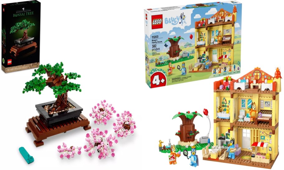 LEGO Bonsai Tree and Bluey's House Playset