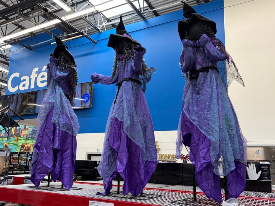 Member's Mark Pre-Lit Animated Witches