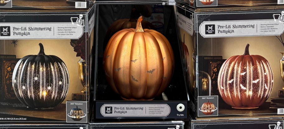 Member's Mark Pre-Lit Shimmering Pumpkin